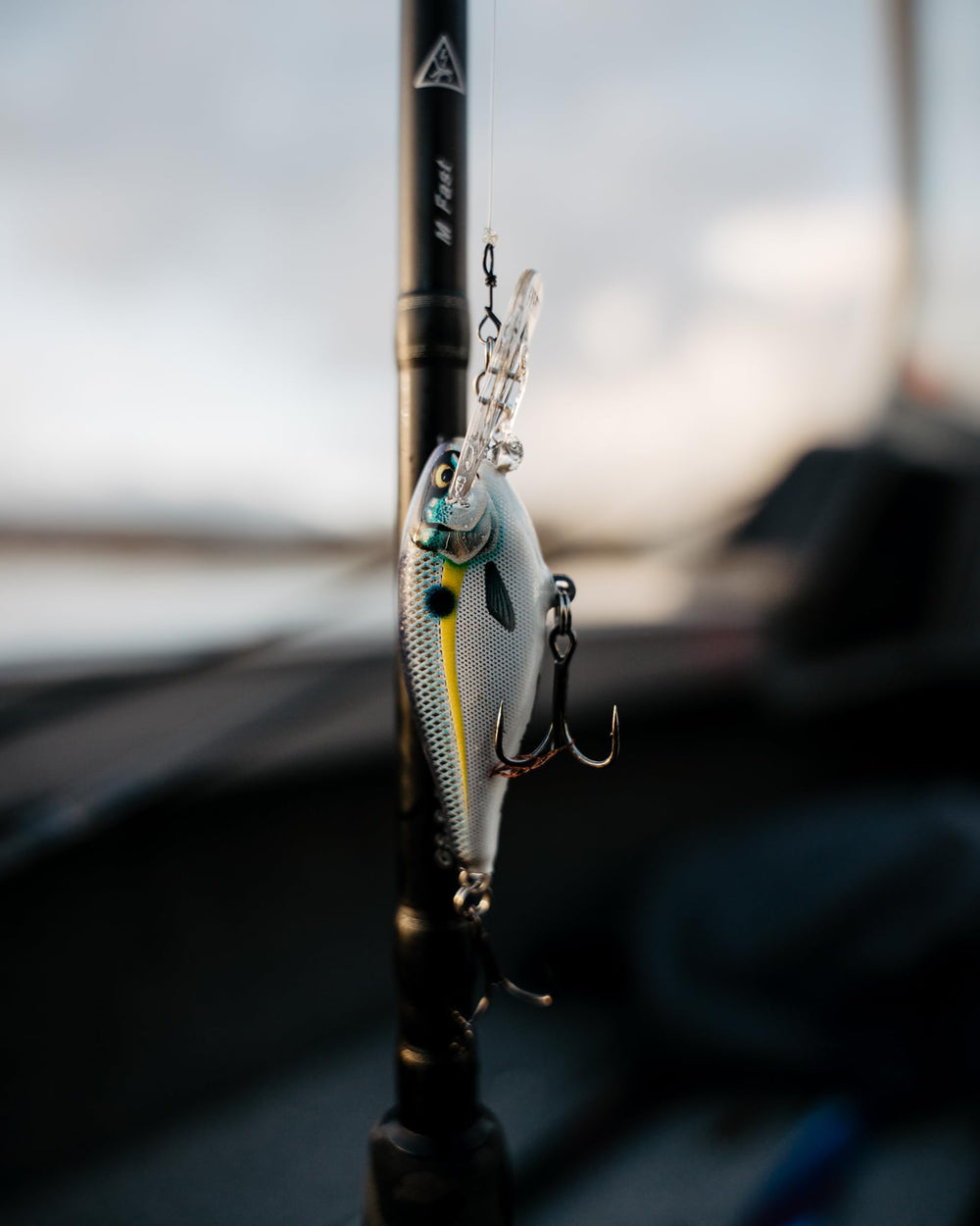 Rapala Shad Rap Elite gilded Helsinki Shad color for high visibility
