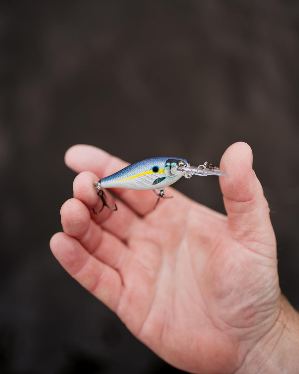 Rapala Shad Rap Elite multi-species lure suitable for bass, walleye, pike