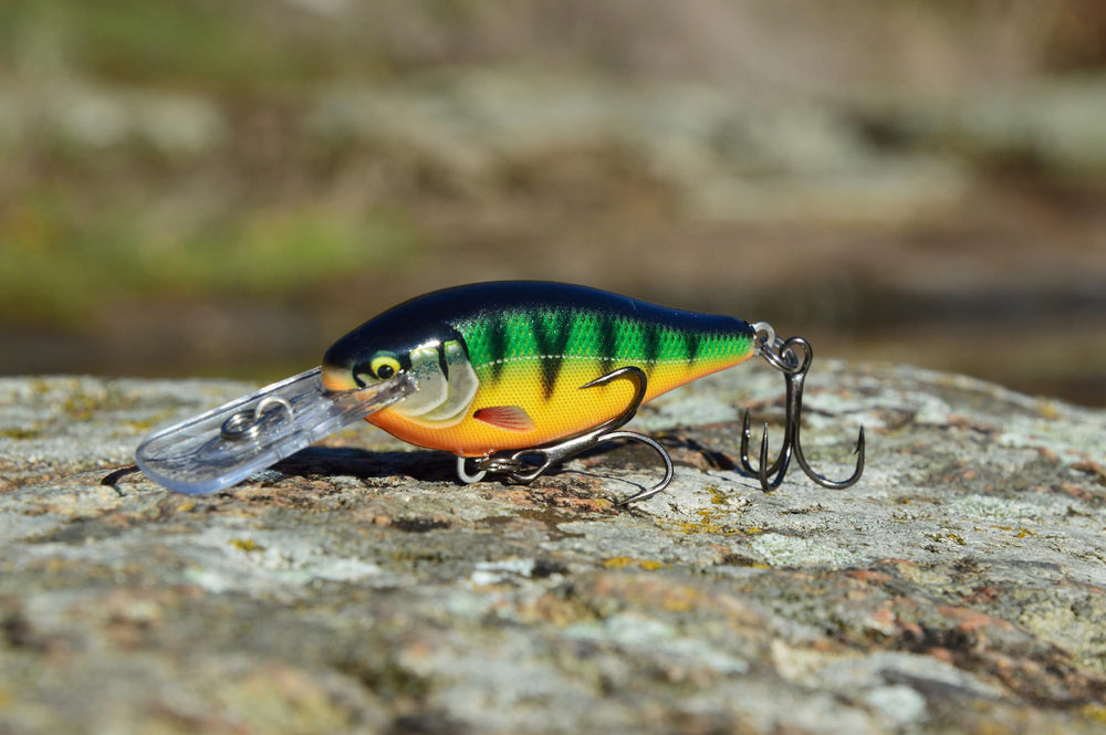 Rapala Shad Rap Elite through-wire construction adds durability for tough encounters