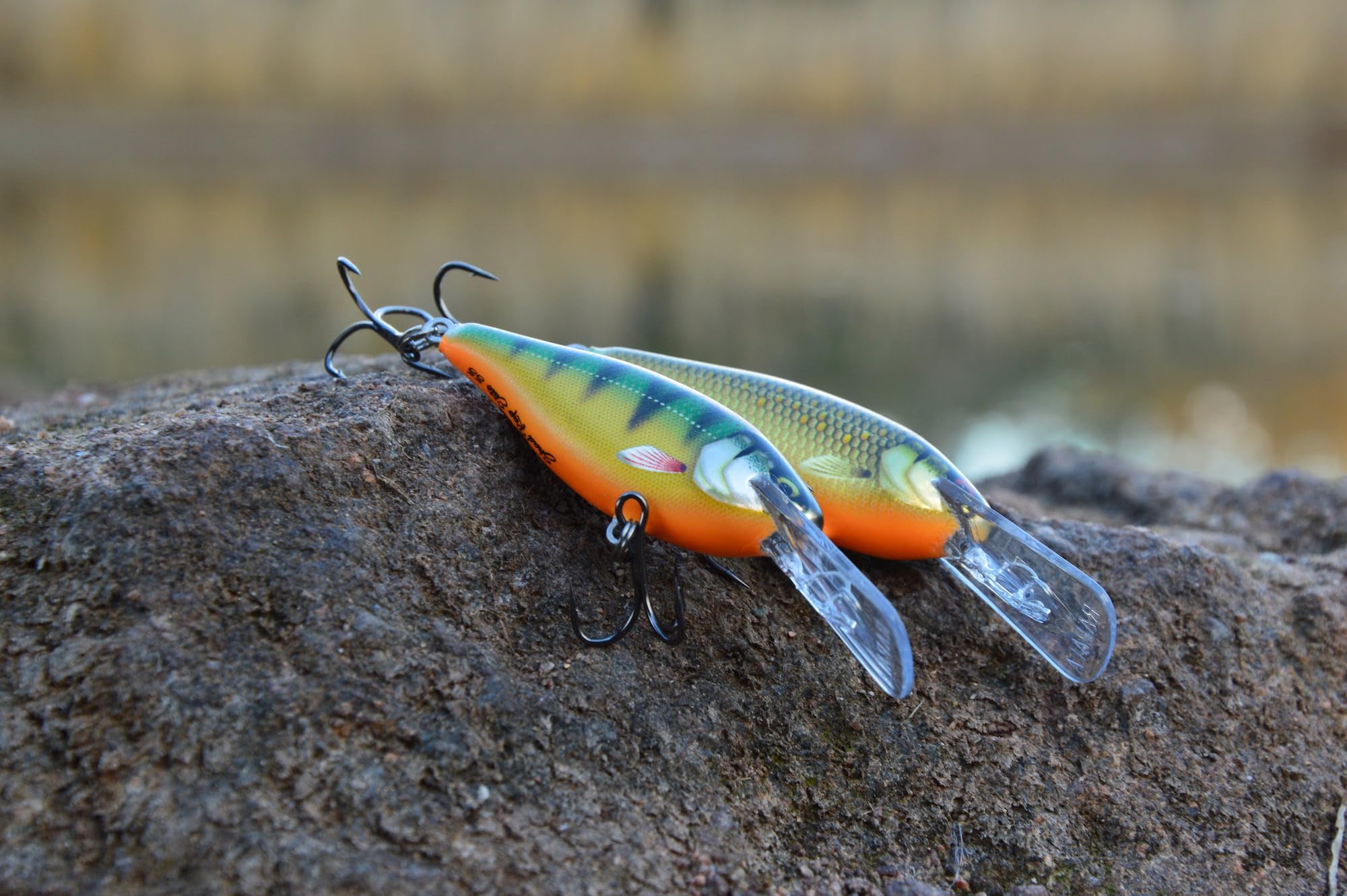 Rapala Shad Rap Elite gilded pattern and metallic face add depth and realism