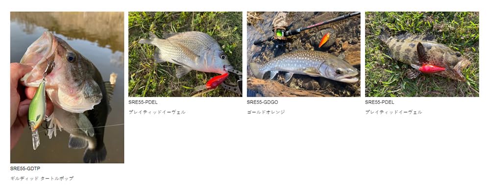 Gilded Blue Gill Rapala Shad Rap Elite attracts bass, walleye, and pike alike.