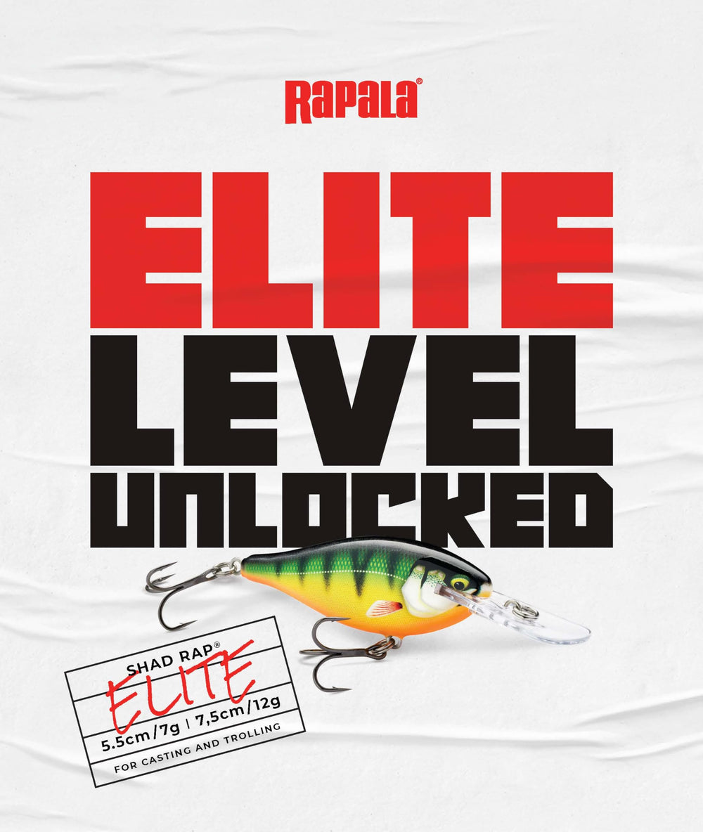 Rapala Shad Rap Elite premium high-def patterns with gilded face