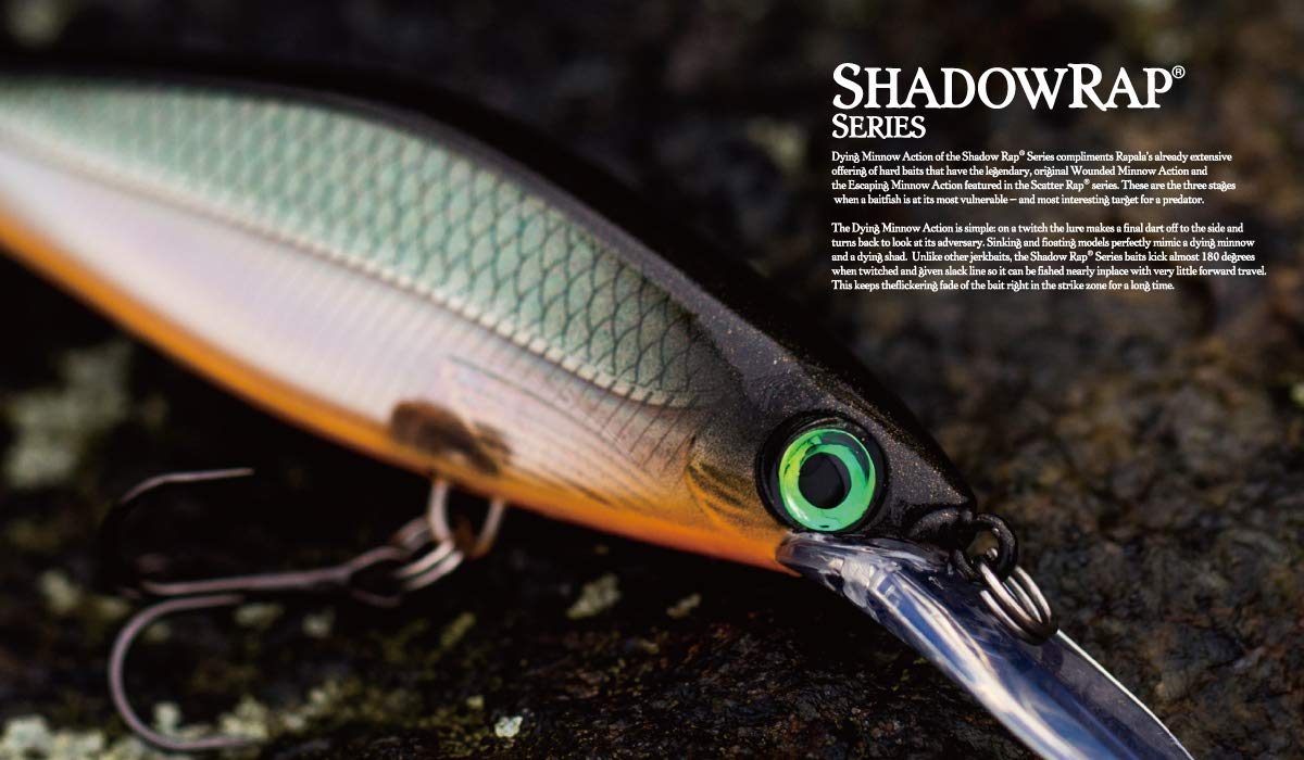 Rapala Shadow Rap Deep 11 Purpledescent action shot highlights 180-degree kick and pause sinking