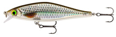 Rapala Shadow Rap Live Roach 9cm front view highlights textured scales and lifelike sheen.