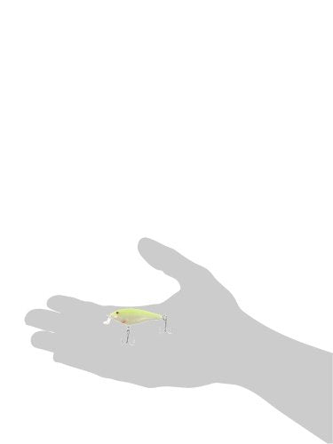 Rapala Shallow Shad Rap 05 in-water action demonstrates its wobbly lure movement.