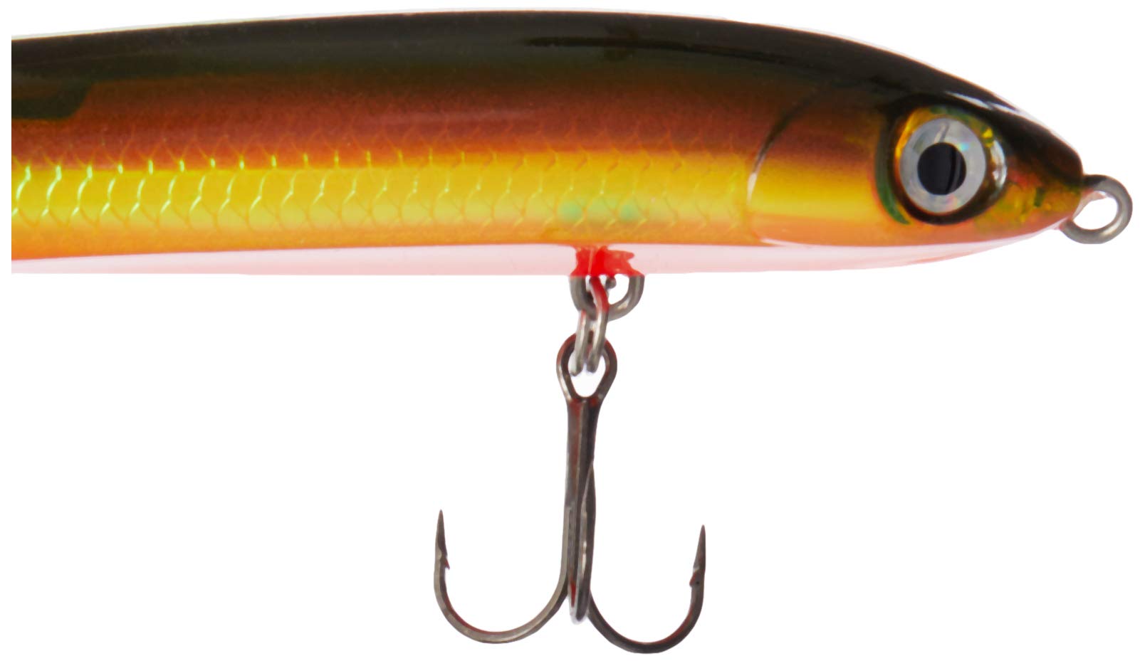 Rapala Skitter V 10 Hot Olive in-hand for easy pickup and rigging.
