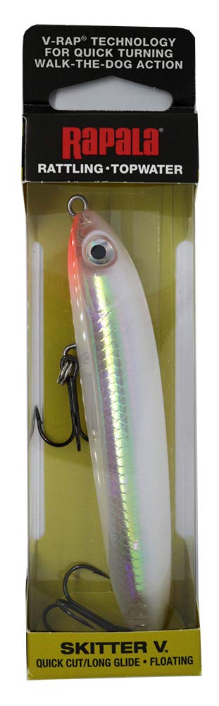 Rapala Skitter V Glass Ghost lure glints underwater for topwater strikes