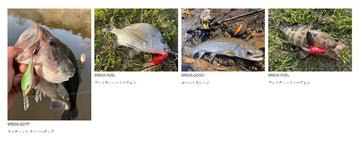 Rapala SRE55 GDTT 2.2 inch size for multi-species use