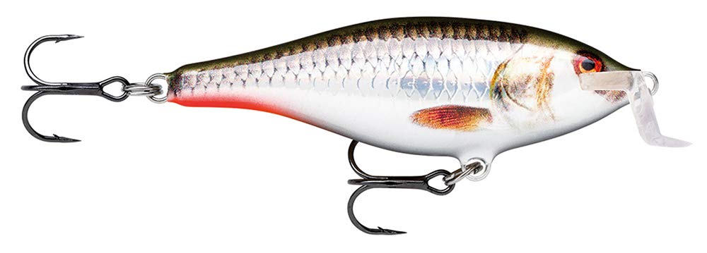 Rapala SSR7-ROHL shallow shad wrap for shallow water targets with precise long casts.