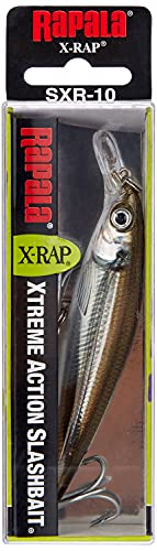 Rapala X-Rap Saltwater 12 Mangrove Minnow lure action shot highlights casting and strike potential