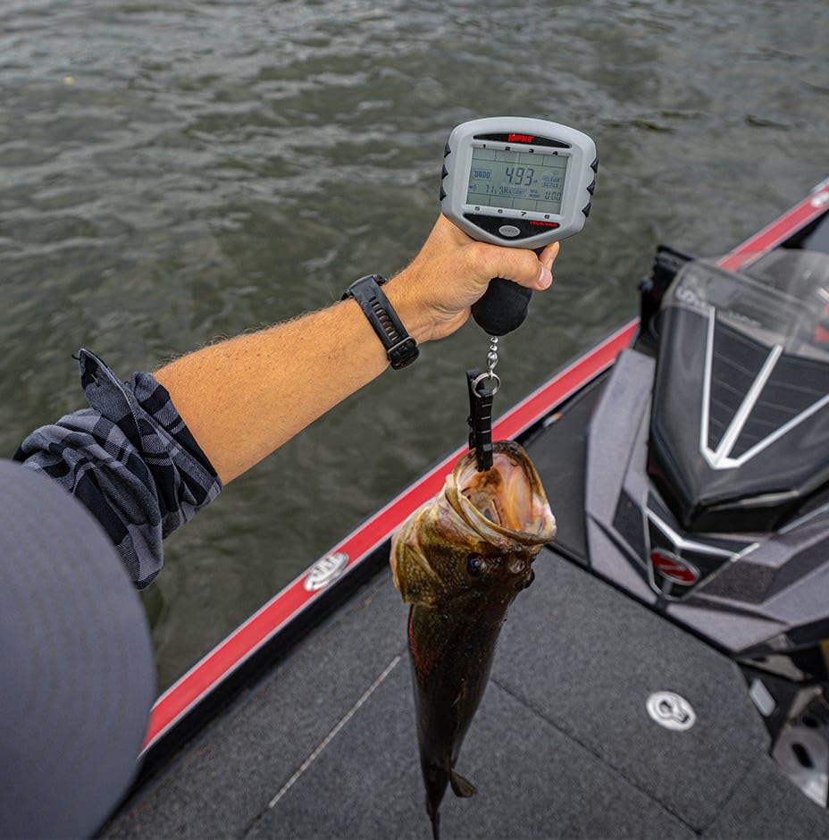 Rapala Tourney Scale built-in fish-friendly gripper secures catch without damage.