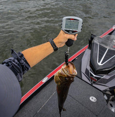 Rapala Tourney Scale built-in fish-friendly gripper secures catch without damage.