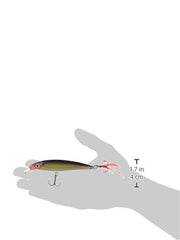 Rapala X-Rap 10 Purple Gold lure in action, highlighting Slashbait motion for aggressive strikes.