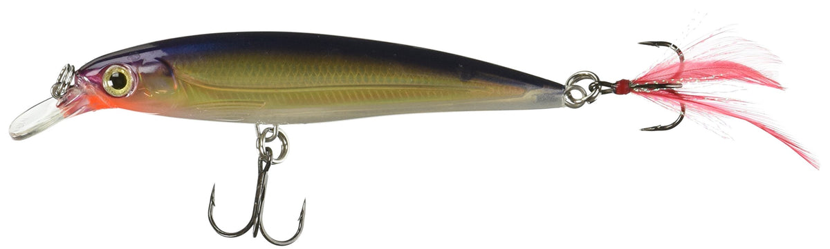 Rapala X-Rap 10 Purple Gold lure, front view, showcasing textured body for lifelike flash.
