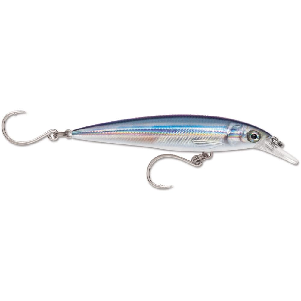 Rapala X-Rap Long Cast 12 Anchovy front view showing lifelike pattern for versatile casting