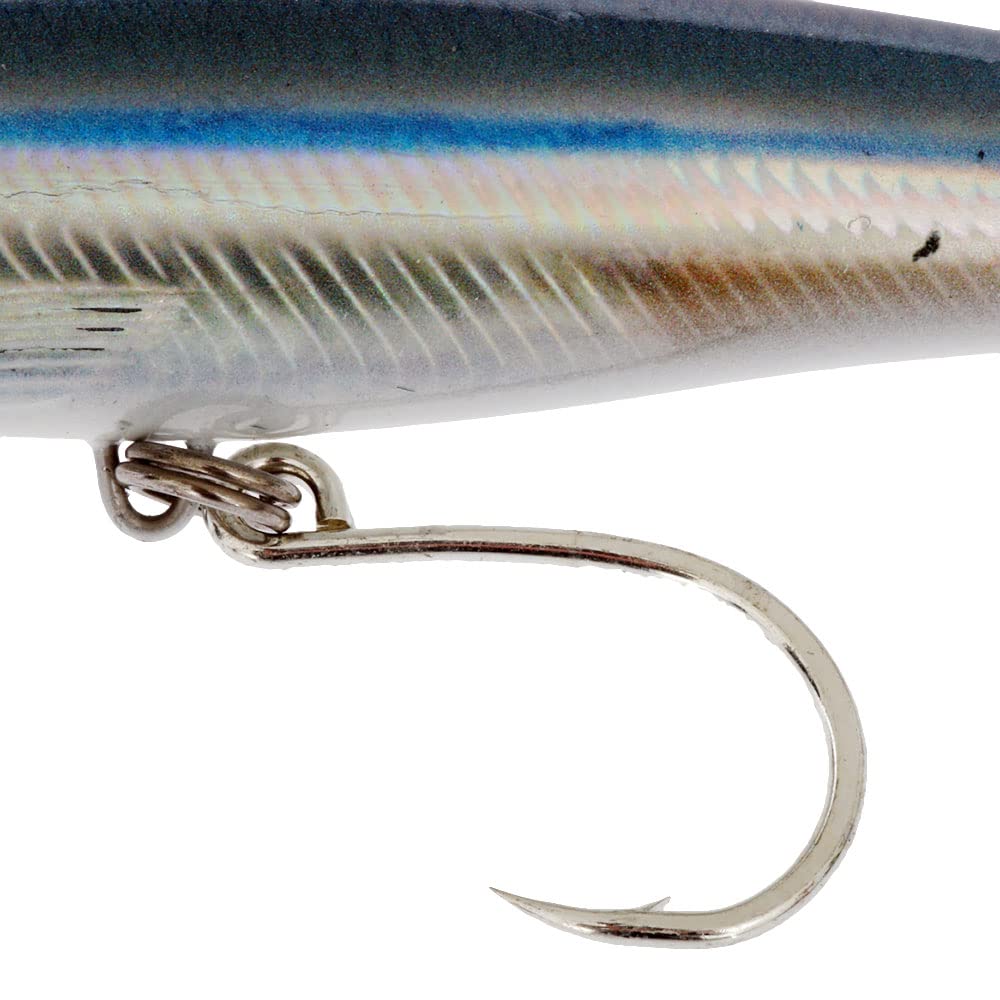 Rapala X-Rap Long Cast 14 Anchovy color pattern enhancing visibility and attraction.