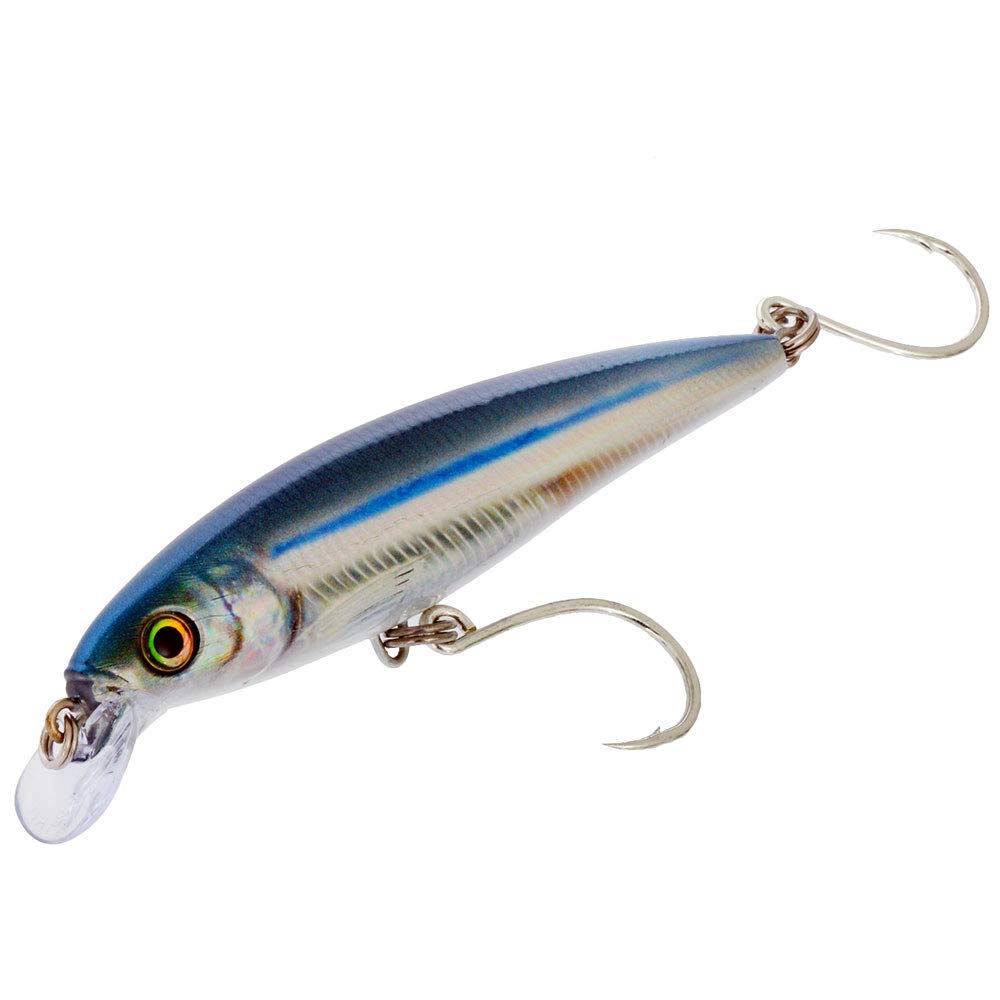 Rapala X-Rap Long Cast 14 Anchovy detailed sculpt emphasizing lifelike profile.