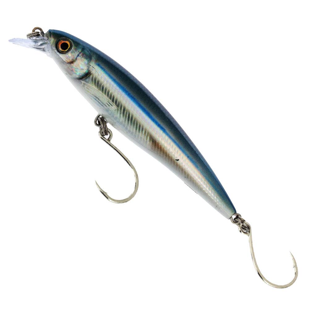 Rapala X-Rap Long Cast 14 Anchovy packaging displayed for easy shelf browsing.