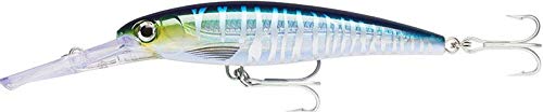 Rapala X-Rap Magnum 15 Wahoo UV in action during cast and retrieve.