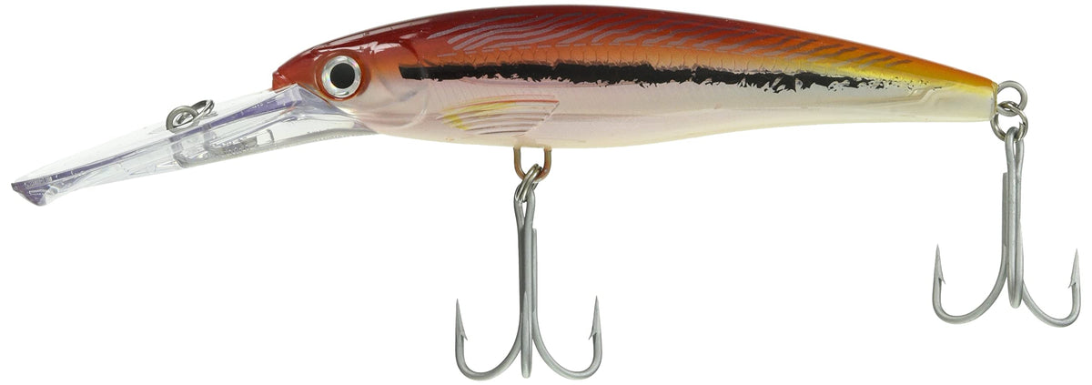 Rapala X-Rap Magnum 20 Hussar UV front view for deep-water casting.