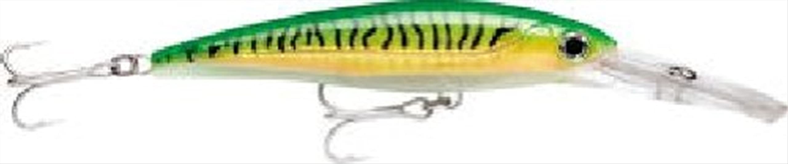 Rapala X-Rap Magnum saltwater trolling lure in Gold Green Mackerel color for offshore tuna, wahoo, and mahi
