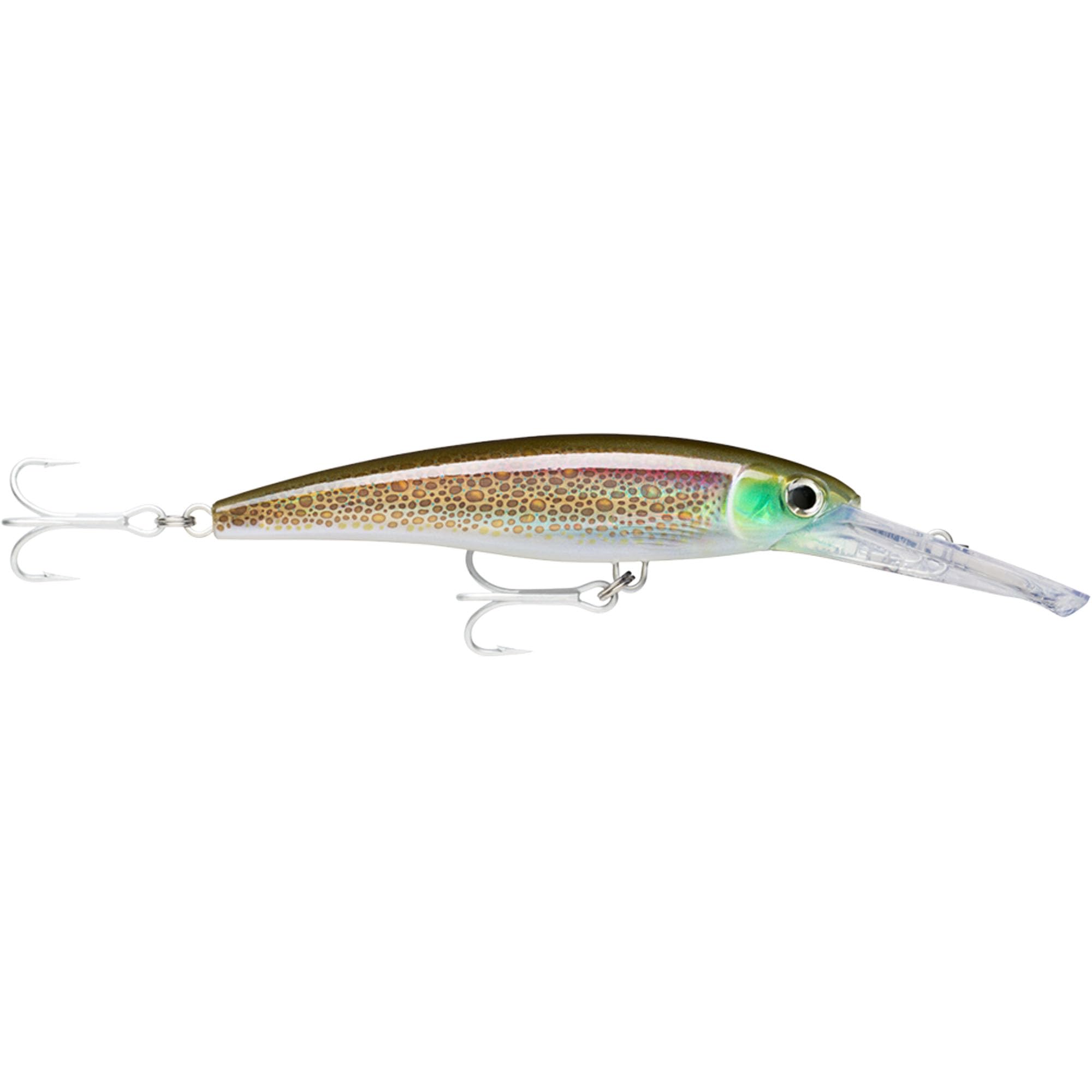 Rapala X-Rap Magnum saltwater lure in HD Squid, ideal for long casts and big game.
