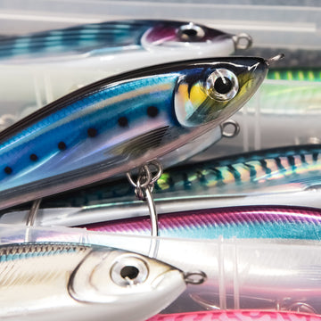 Rapala X-Rap Magnum Stick HD Blue Sardine, in water action, boosts lure distance for tuna and wahoo