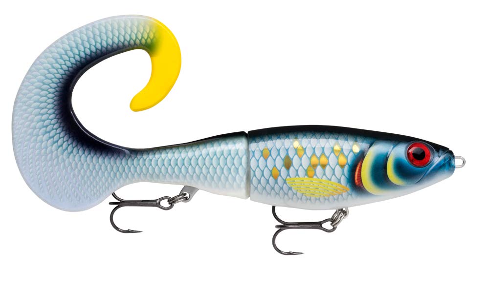 Rapala X-Rap Otus lure, front view, curl tail ready for cold-water casting and slow-sinking action.