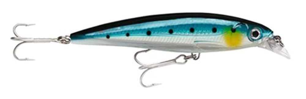 Rapala X-Rap Saltwater 10 Blue Sardine front view shows bold action and holographic shine