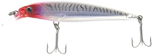 Rapala X-Rap Saltwater Lure with 3D holographic eyes underwater realism