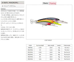 Rapala XR30MAG Big Icequad hook close-up with corrosion‑resistant 3X hooks