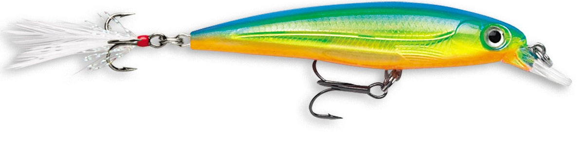 Rapala X-Rap 08 Parrot lure showing textured body and bold flash for long casts