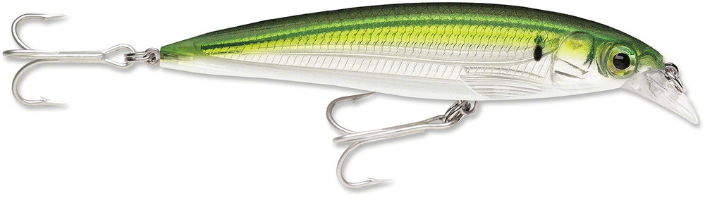 Rapala X-Rap Saltwater 12 Pilchard front view, bold color pattern for saltwater targeting