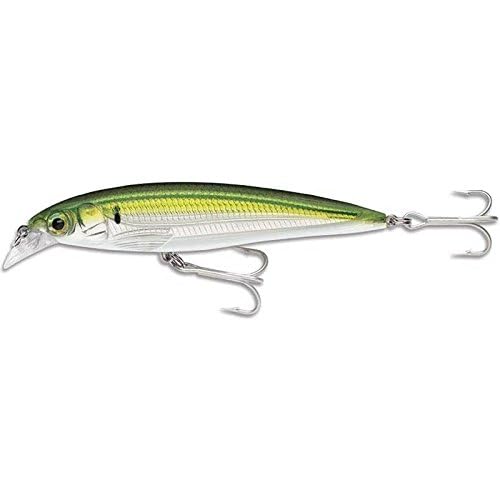 Rapala X-Rap Saltwater 12 Pilchard side profile showing compact silhouette