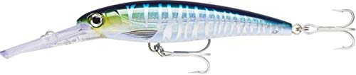 Rapala X-Rap Magnum 20 Wahoo UV lure inside tackle box ready for pro style fishing