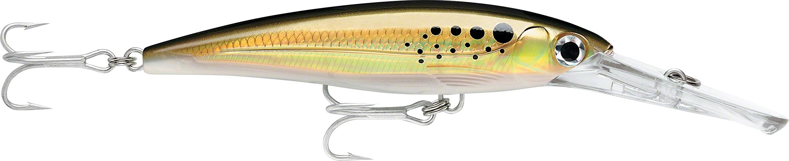 Rapala X-Rap Magnum 40 lure in bunker color ready for deep-water fishing.