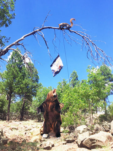 RATSACK rodent-proof cache bag close-up highlights secure food storage on rugged trails.