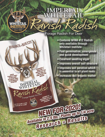 Ravish Radish late-summer planting pattern for fast plot setup
