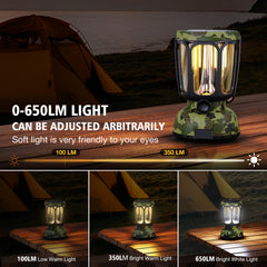 Raynic lantern hand crank emergency charger shown for off-grid power