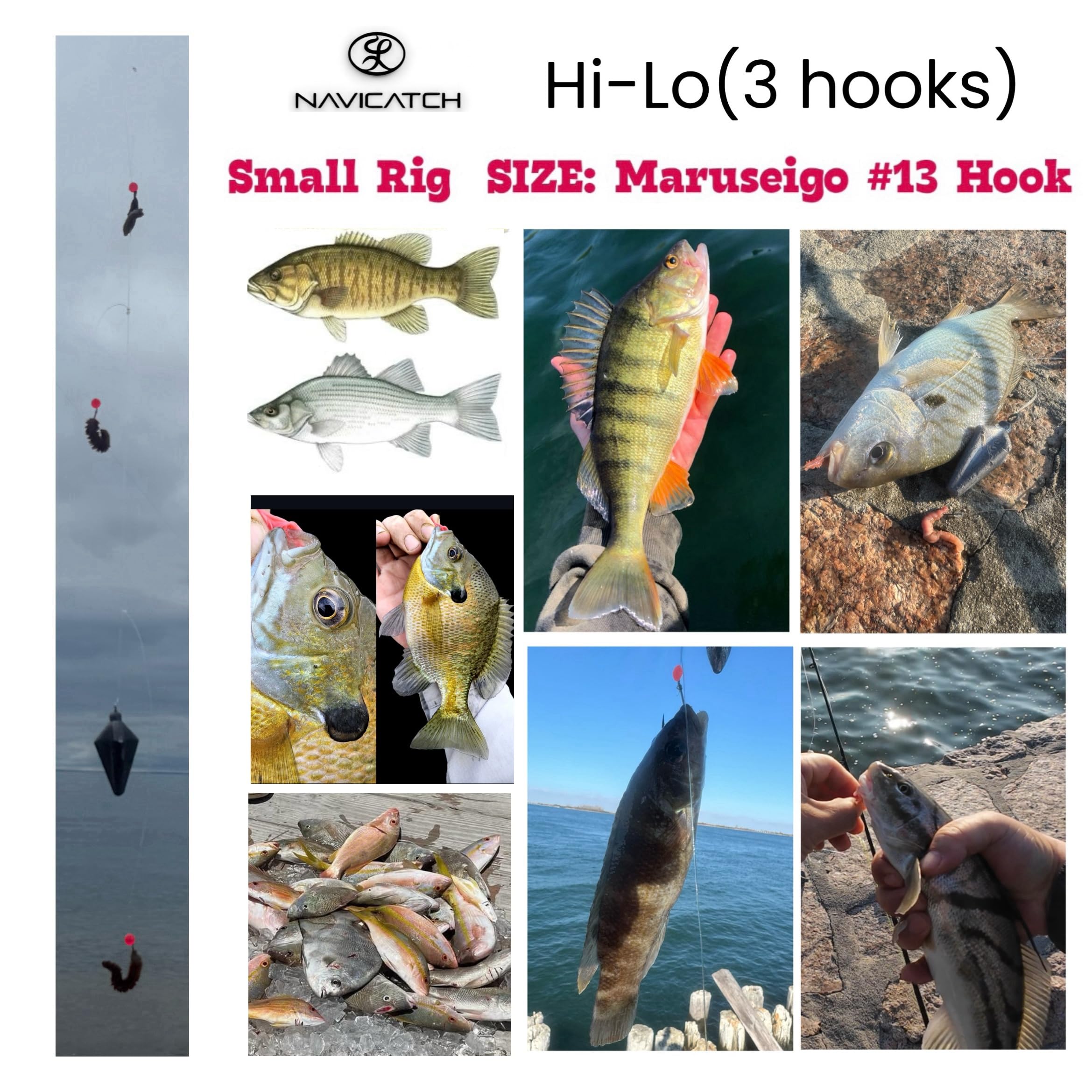 Ready-to-fish weights: small, medium, large