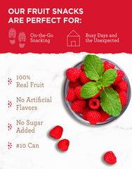 Camping scene with ReadyWise raspberries as portable trail snack.