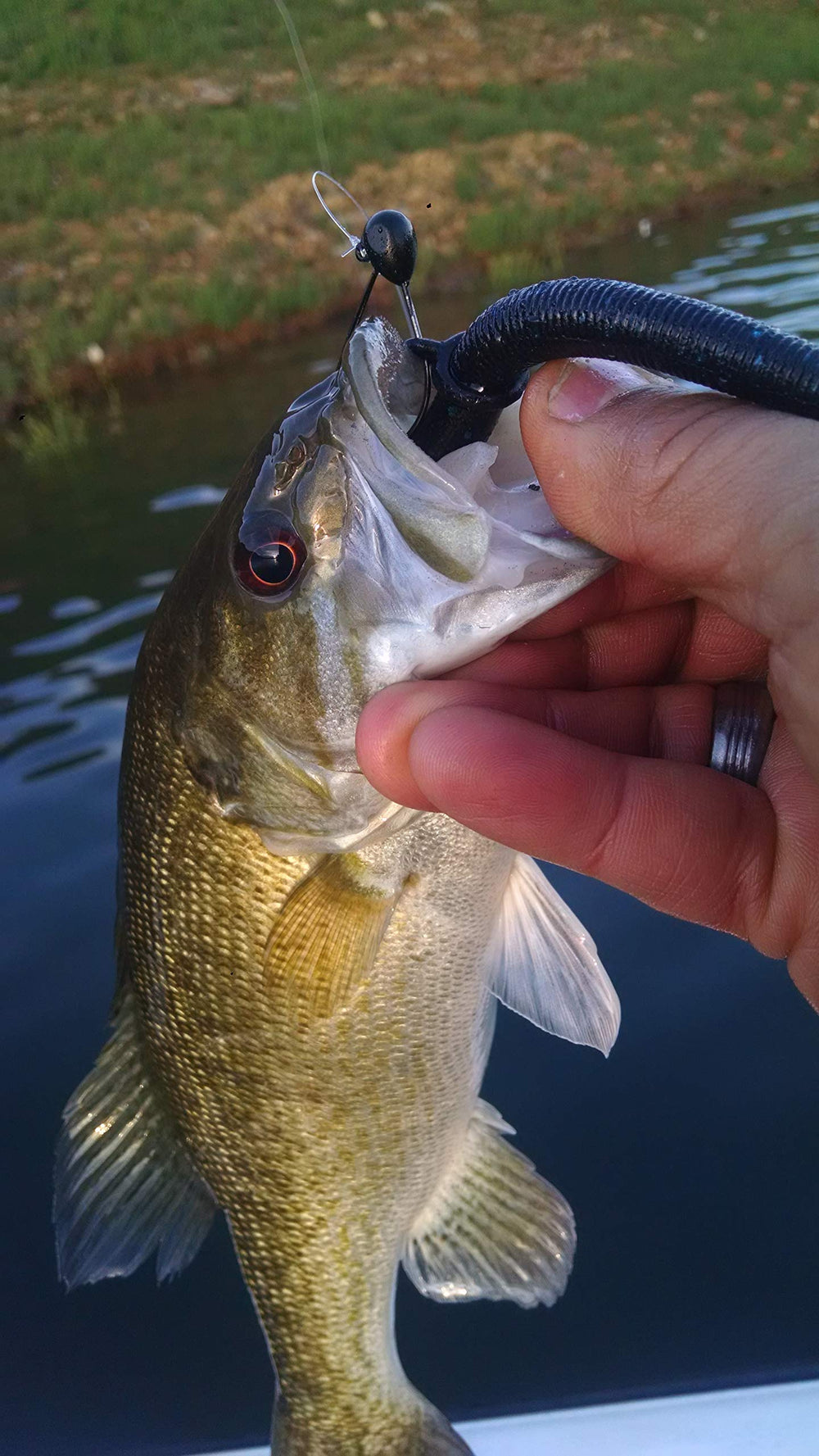 REAL FISH 10-pack provides cost-saving, ready-to-use gear.