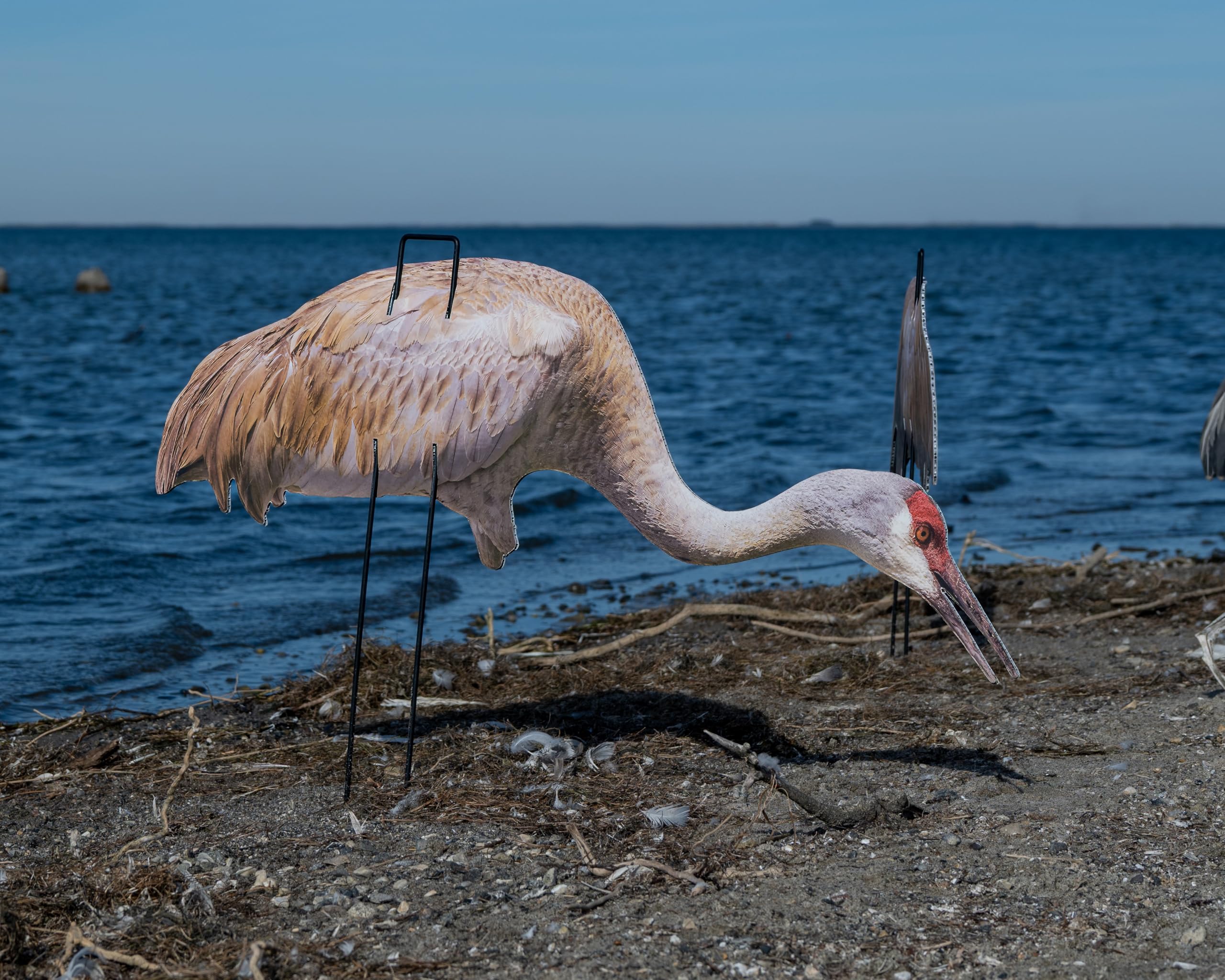Real-Geese Gen 3 Sandhill Crane decoy pack showcasing four poses