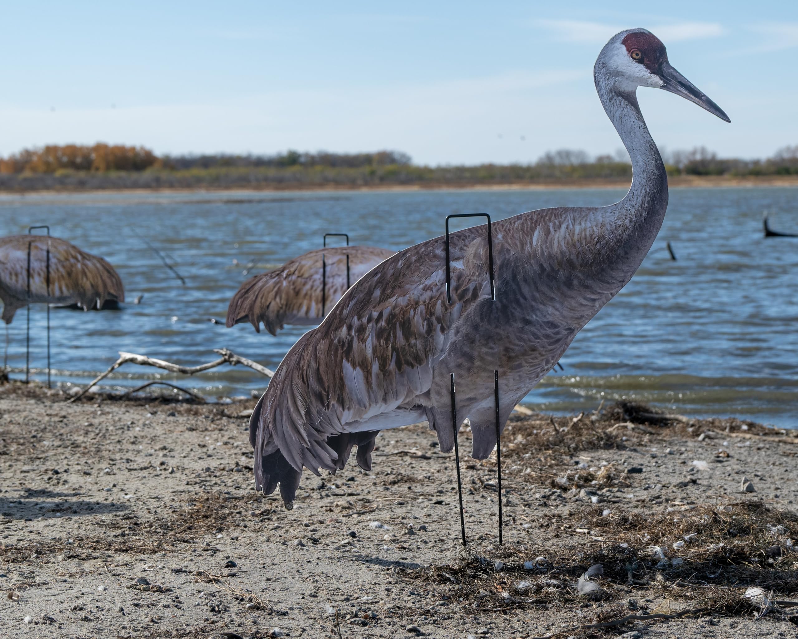 Real-Geese Gen 3 Sandhill Crane decoy top view pose D simulates flock silhouette