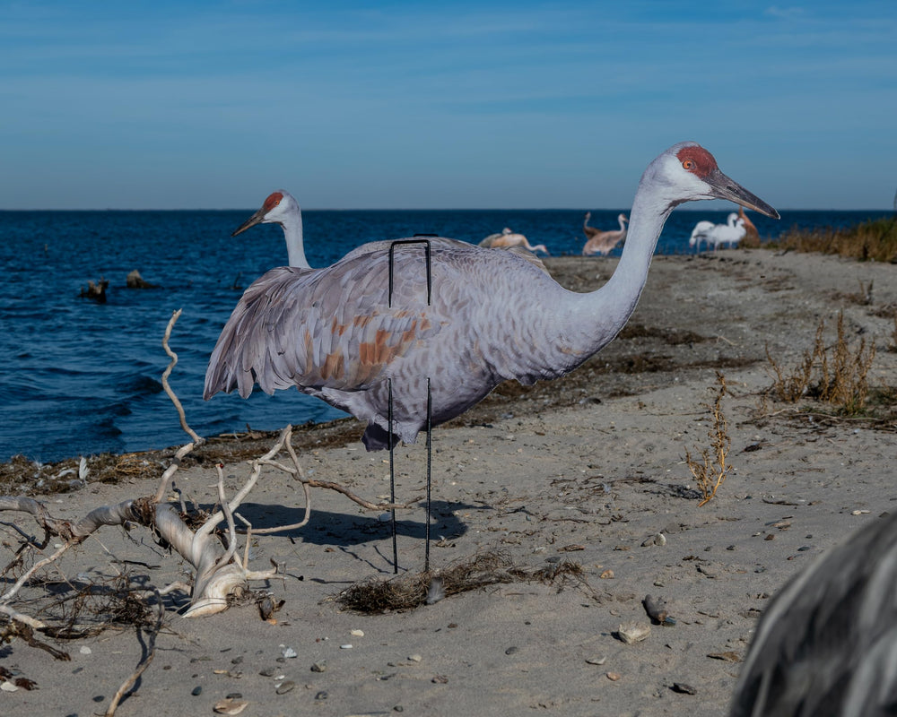 Real-Geese Gen 3 Sandhill Crane decoy with wire stake setup in rugged terrain