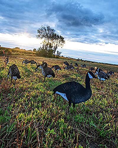 Real-Geese Shadow Series economical silhouette decoys offer value without sacrificing presence