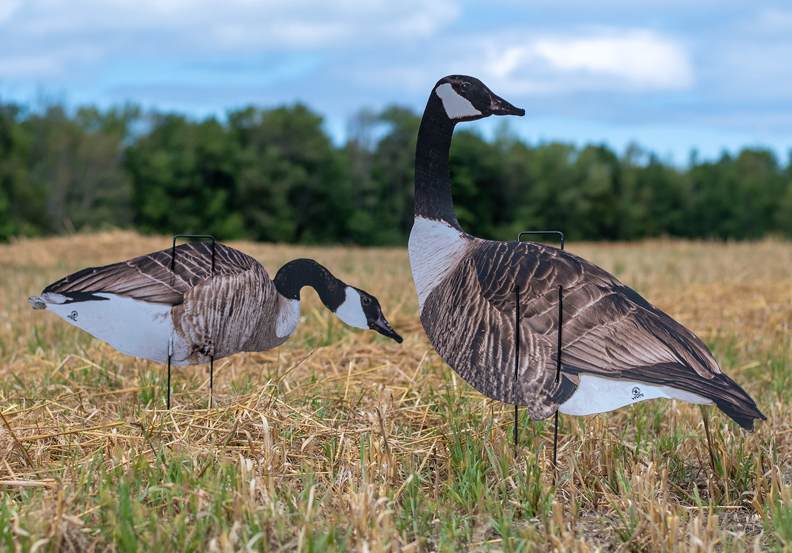 Real-Geese Vivid Series silhouette decoy pose 3 adds depth to your spread for visibility.