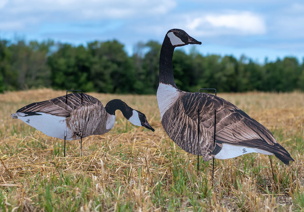 Real-Geese Vivid Series silhouette decoy pose 3 adds depth to your spread for visibility.