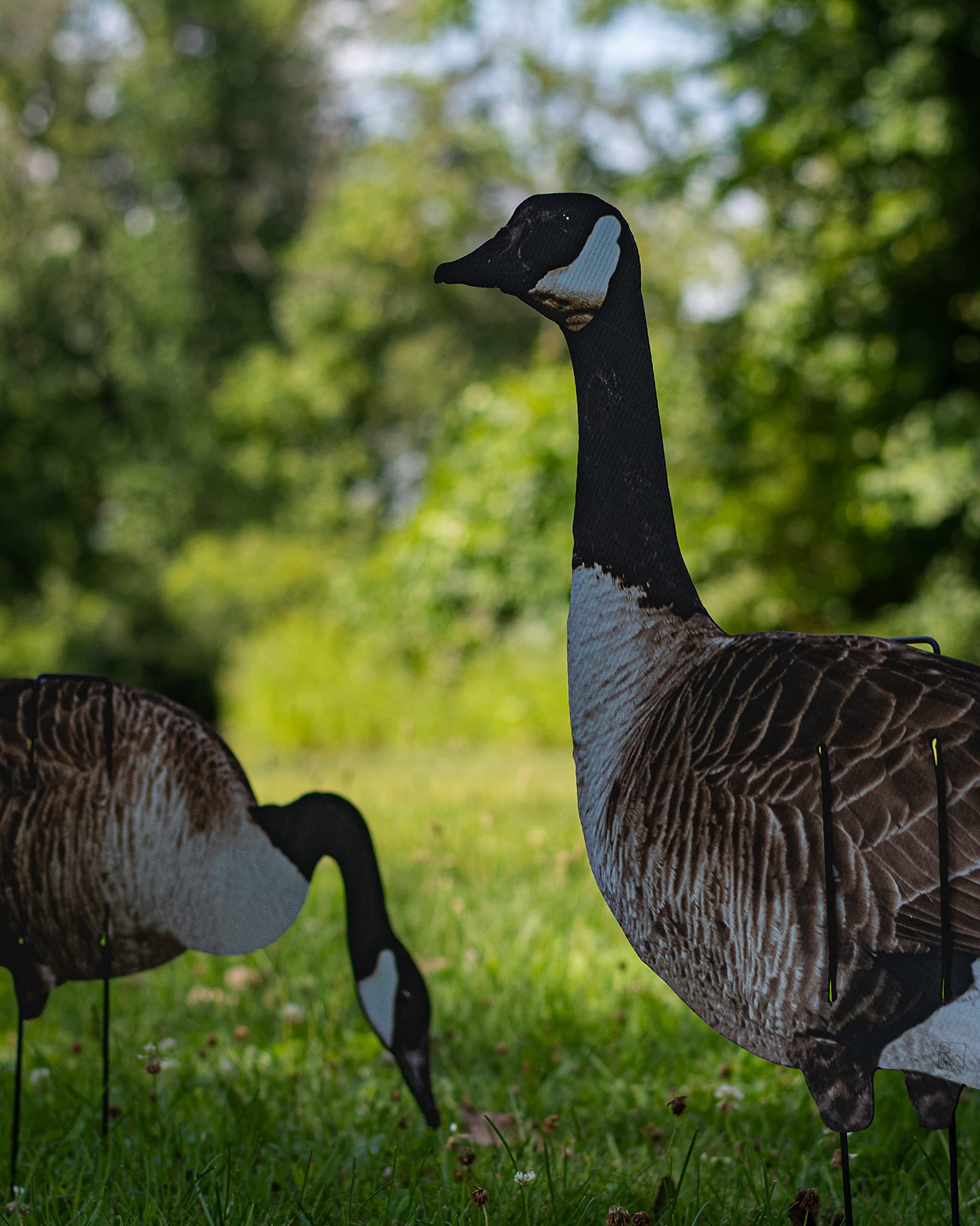 Real-Geese Vivid Series stake detail shows a 20-inch stake for sturdy anchoring.