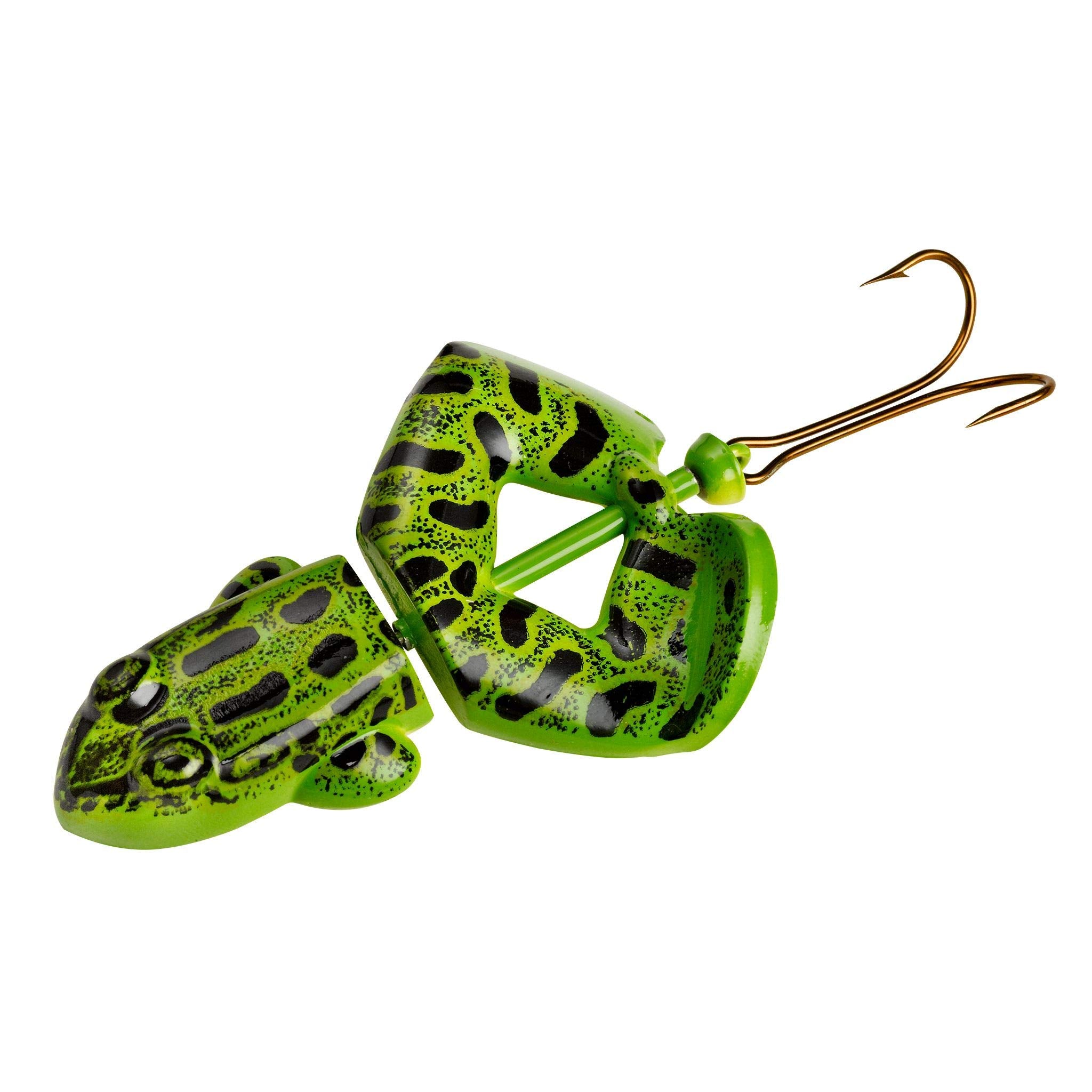 Rebel Buzz’n Frog topwater action drawing bass from long distances.